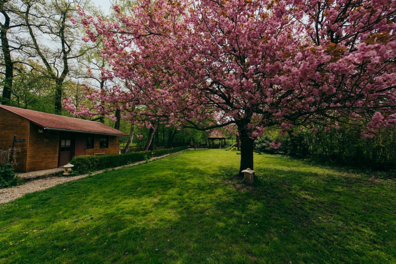 Shubu Zen Vendeghaz Hotel Szilvásvárad Buitenkant foto
