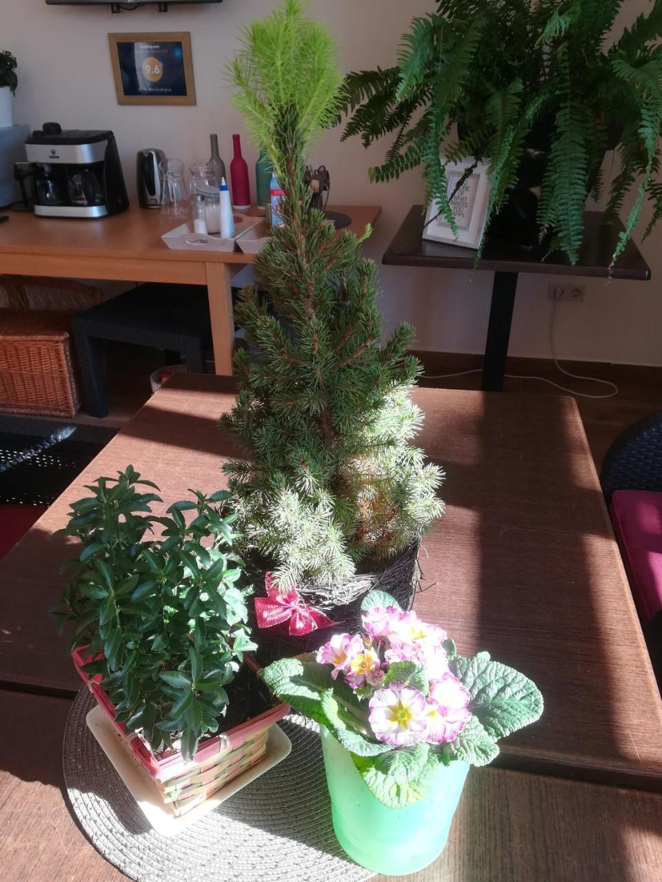 Shubu Zen Vendeghaz Hotel Szilvásvárad Buitenkant foto